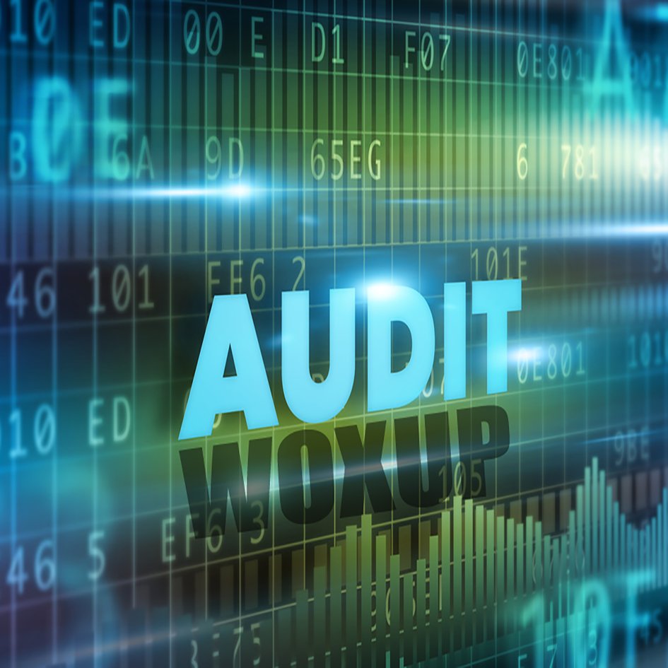 audit SEO